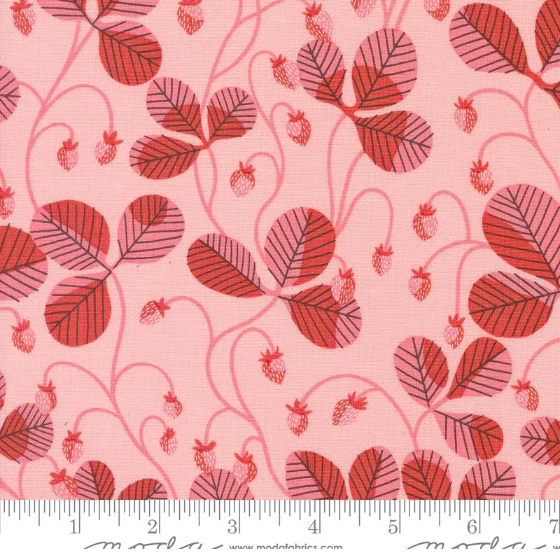 bloomeriefabrics5788848
