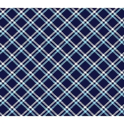bnpquilts5720068