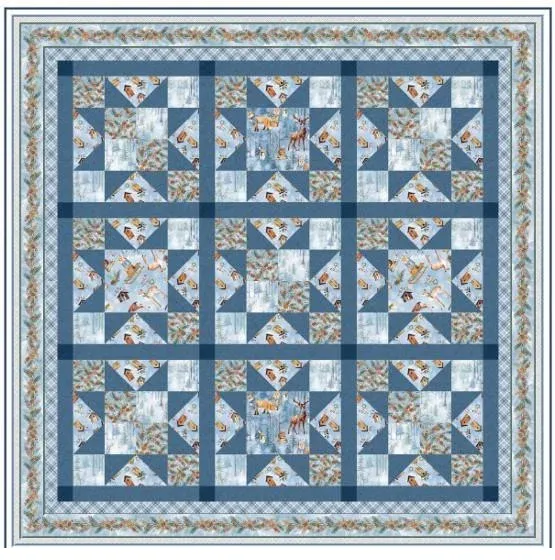 bnpquilts5721985