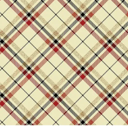 bnpquilts5734434