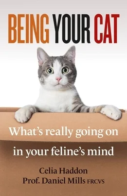 booksnthingswarehouse-12039871