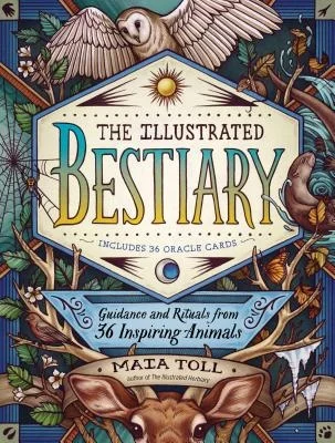 booksnthingswarehouse1264608