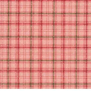quiltsonthecorner5511050