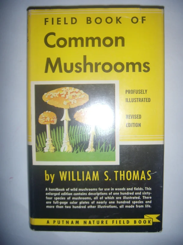 roundaboutbookstore1126900