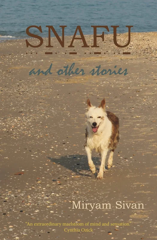 roundaboutbookstore1127405