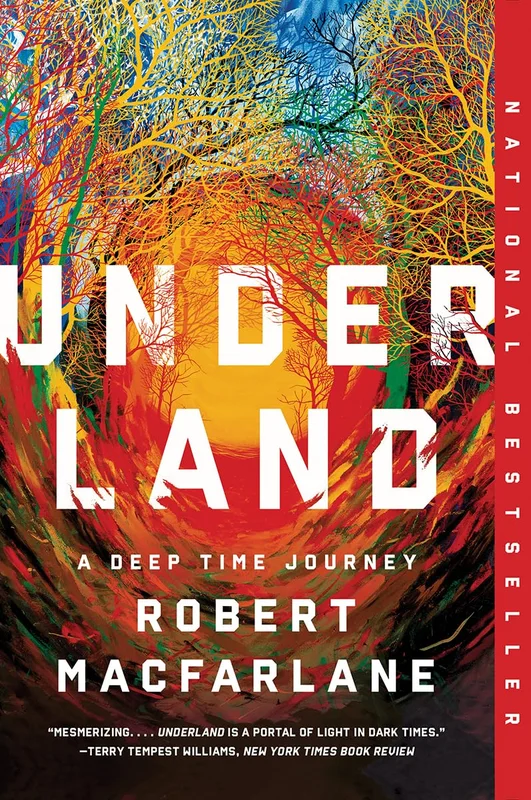 roundaboutbookstore1216995