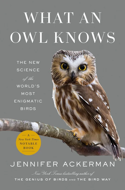 roundaboutbookstore1247819