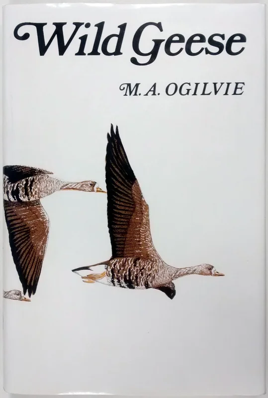 roundaboutbookstore1373789