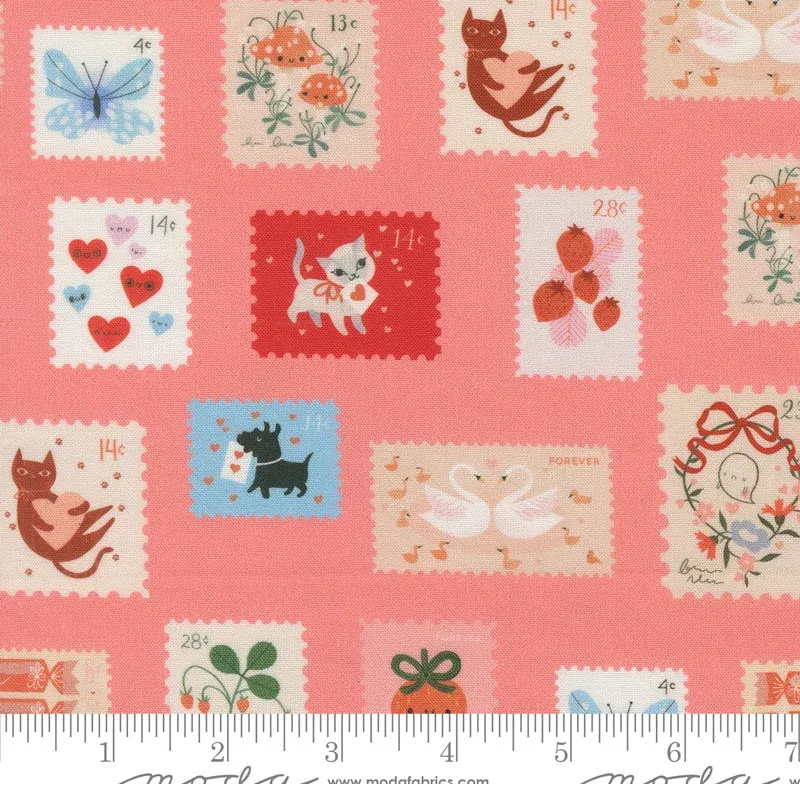 stitchsupplyco5722252